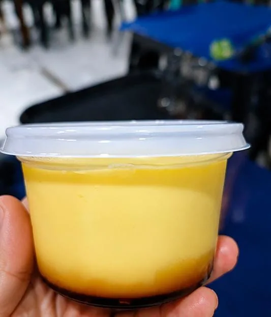 Flan